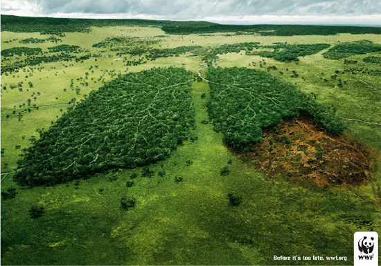 Publicité WWF